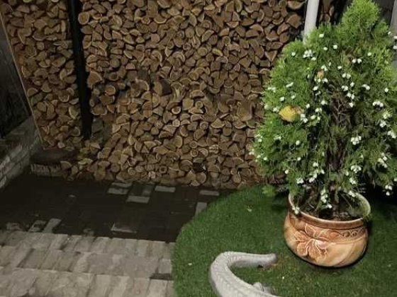 Продам Лучший дом в Диевке