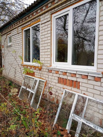 Дом+большой двор - фото 1