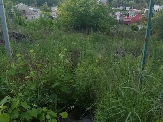 Продажа Дачи в Днепре