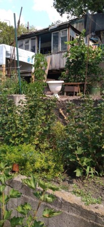 Дача, ближние дачи «Восток-Химик». Свой берег на заливе - фото 1