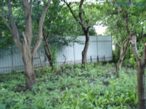 Киев. Участок и домик на Русановских садах. ПРИВАТИЗИРОВАН Киев