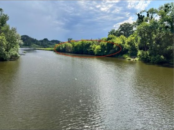Участок Будинок  Троянів Житомир