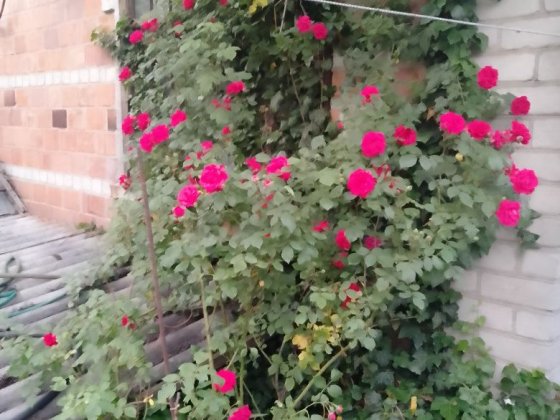 Продам дачный участок с двухэтажным домом Запорожье