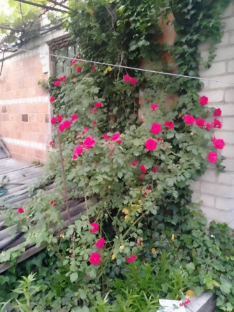 Продам дачный участок с двухэтажным домом - фото 1