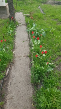 продам дачу не срочно - фото 1