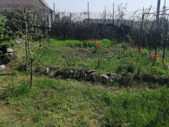 Дача Синенко Кремлевская Запорожье