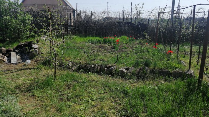 Дача Синенко Кремлевская - фото 1