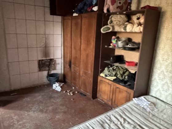 Продається будинок на Старій Балашівці Кропивницкий