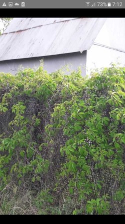 Продам   дачный участок      Вырва  СТ   Днепр 2  автопляж 1400 м - фото 1