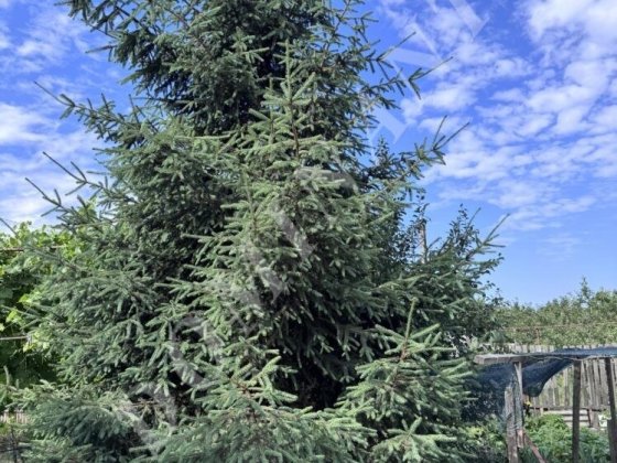 Продаж будинку Заводський район Запорожье