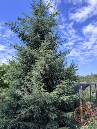 Продаж будинку Заводський район - фото 1