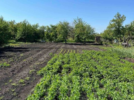 Продається дача , товаривство "Колос" Кропивницкий