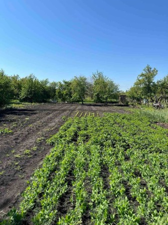 Продається дача , товаривство "Колос" - фото 1