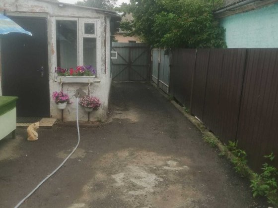 Продам будинок, Терміново