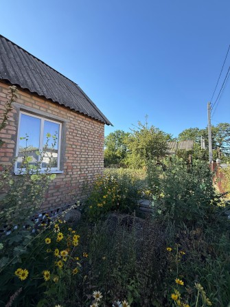 Продаж дачі у кооперативі «Дружба» - фото 1