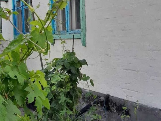 Продам дом на Западном Днепр