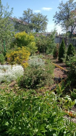 Продаётся Часть дома на Гастелло (173-833) - фото 1