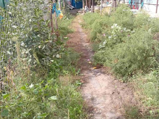 Дом 57м2 на  2,5 сотках Гастелло