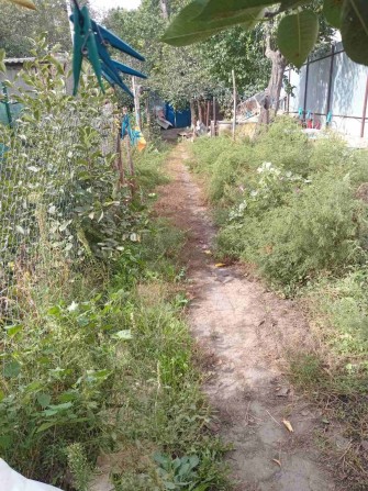 Дом 57м2 на  2,5 сотках Гастелло - фото 1