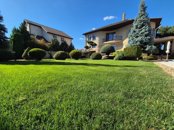 Продам шикарный дом в Совиньоне Одесса