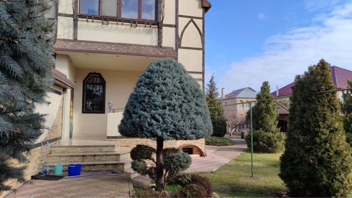 Дом в Одессе Пакет документов 20 сот земли - фото 1