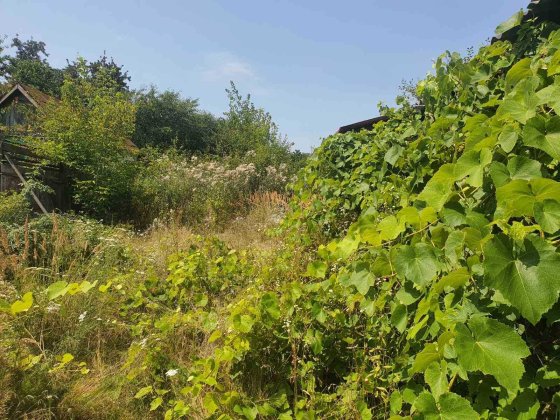 Продаж будинку 10 хвилин Холодна Гора Залютино Харків