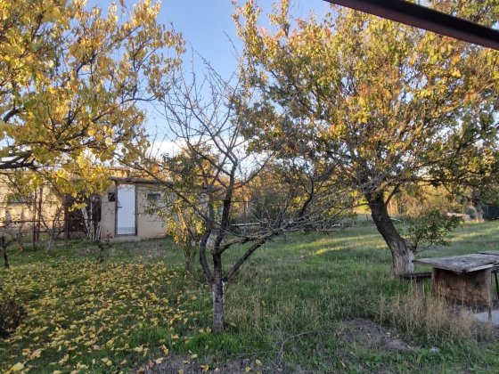 Срочно! Отличное  место Новая Дофиновка  дача   за 5000 Одесса