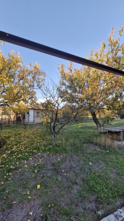 Срочно! Отличное  место Новая Дофиновка  дача   за 5000 - фото 1