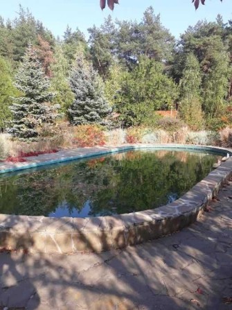 продам свой дом  в лесу Жихарь 2 - фото 1