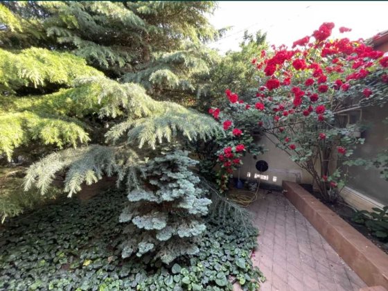 Купите благоустроенный дом в лучшем уголке Фонтана по сниженной цене. Одеса