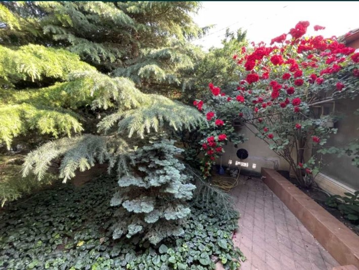 Купите благоустроенный дом в лучшем уголке Фонтана по сниженной цене. - фото 1