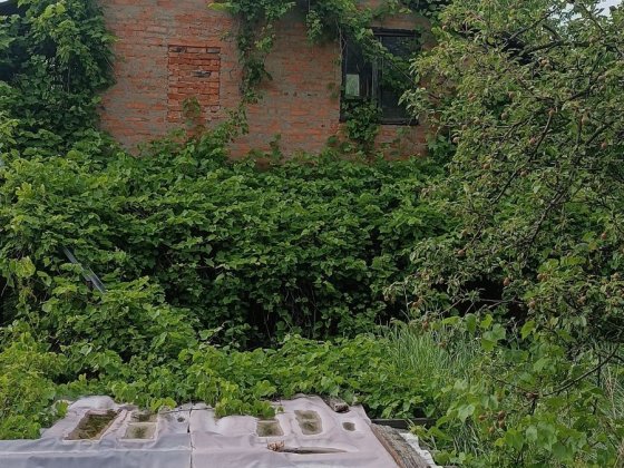 Дача Чугуевский район Харків