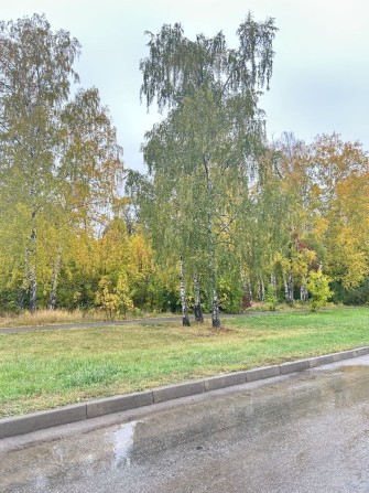 Продам дом Харьков, Холодная гора, Лысая гора - фото 1