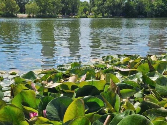 3-к(60м2) Березняки Тичини 3 косметичний ремонт  готівка Киев