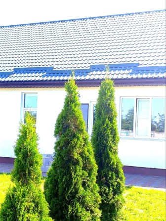 Новий будинок на Баварії, 15 соток, готовий бізнес - фото 1