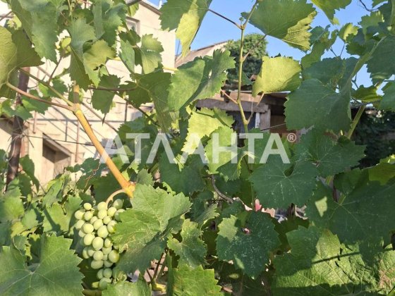 Дом на Ленпосёлке с тремя отдельными входами