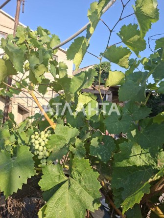 Дом на Ленпосёлке с тремя отдельными входами - фото 1