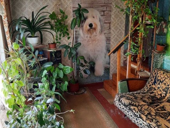 Дом с гаражом в центре Таирова!