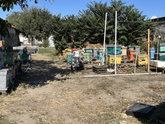 Продам дом с участком на Скороходова р-н Таврии В Миколаїв