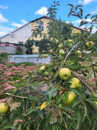 Продається будинок - 95 кв. м, 10 соток, р-н Зернової, м. Харків - фото 1