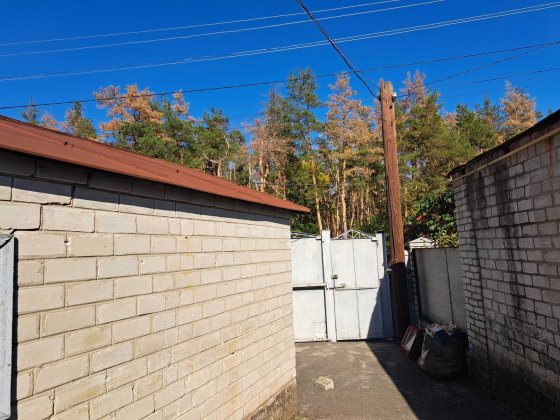 Продам дом в Гутах Основянский р-н (169149) Харків