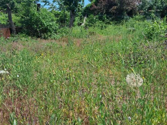 Продам участок 7,5 соток в Одессе с домом под ремонт в Черноморке Одесса