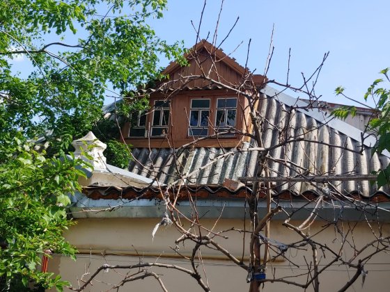 Два дома на одном участке с общей кухней Миколаїв