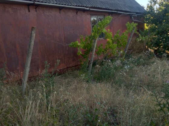 Продам дачу , Будячки(Карпово) Одесса