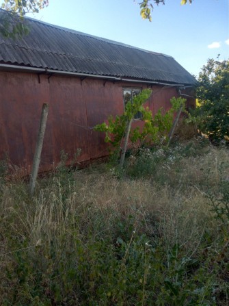 Продам дачу , Будячки(Карпово) - фото 1