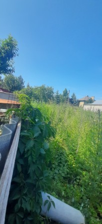 Павловое Поле "Класс" 13 соток - фото 1