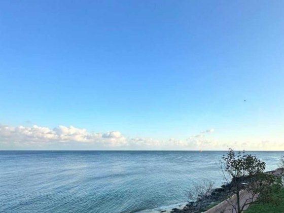 Дом первая линия моря. Срочная продажа. Одесса