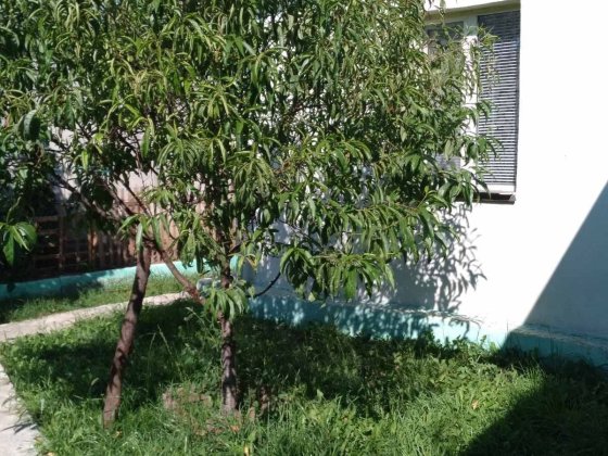 Продам дом в Харькове район Сортировки. Харків