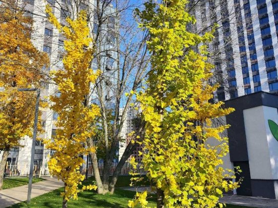 продадам квартиру поруч метро Теремки