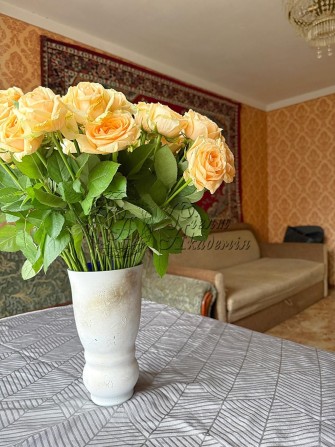 Продам 3-кімн. на Троещині БЕЗ КОМІСІЇ - фото 1